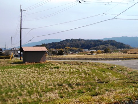 DSCN7137