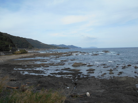 38への道（黒潮町伊の岬あたり）