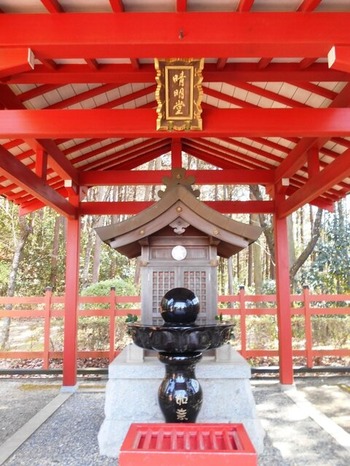 DSCN8200