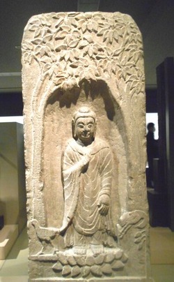 DSCN7167