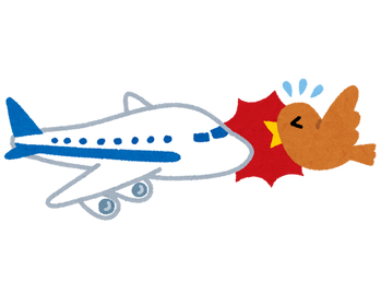 airplane_bird_strike (1)