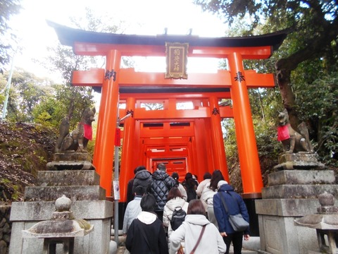DSCN5811