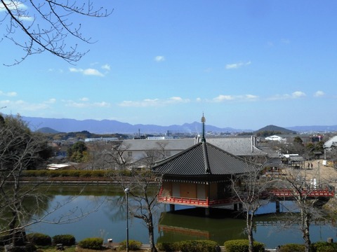 DSCN8205