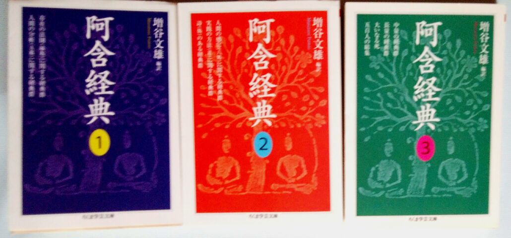 ○ 『阿含経典』を読む 1 : ソルティはかた、かく語りき