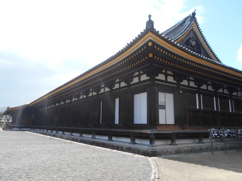 DSCN5832