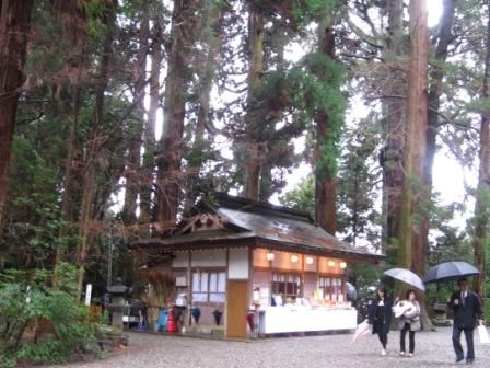 2012年3月屋久島&九州旅行 082