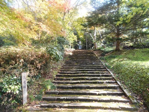 DSCN4061