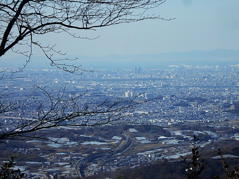 DSCN7956