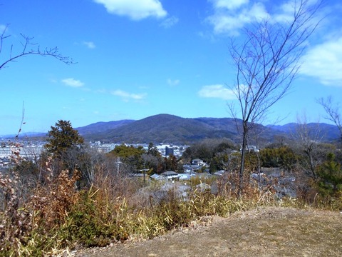 DSCN8221