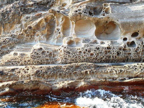 ３９番への道（竜串海岸３）