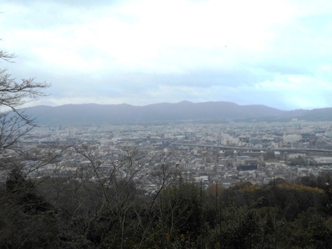 DSCN5816