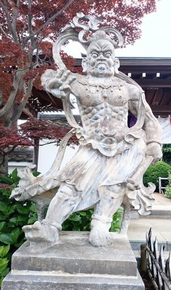 IMG_20250523_095421