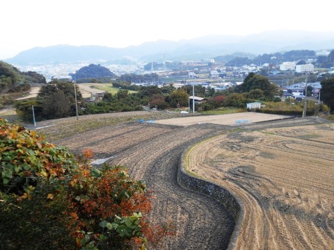 65への道（山道）