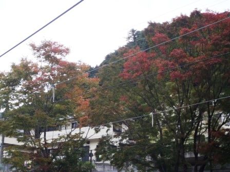 高水山20161029 002
