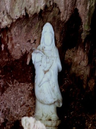 三頭山20150520 008