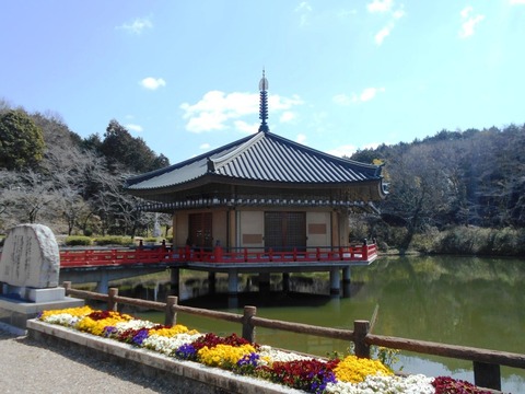 DSCN8212