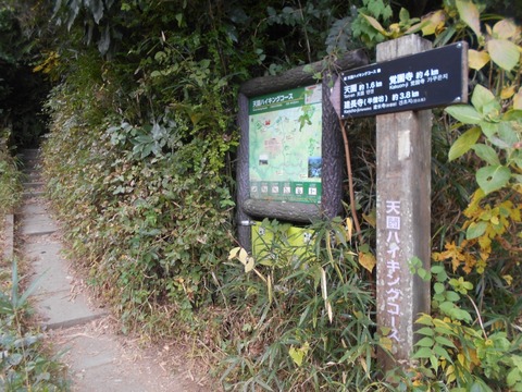 DSCN5550