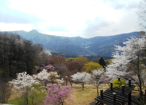 DSCN5917