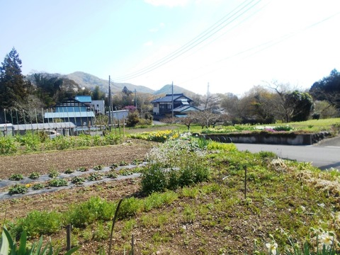 DSCN5868