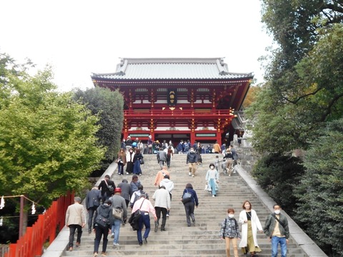 DSCN5518
