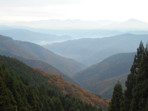雲辺寺付近の峰峰