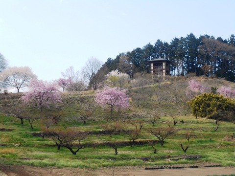 DSCN5925
