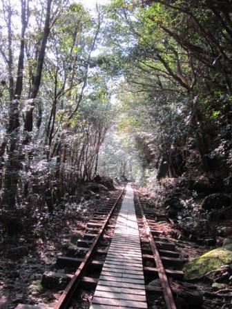 ２０１２年３月屋久島＆九州旅行 012