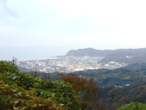 DSCN5543