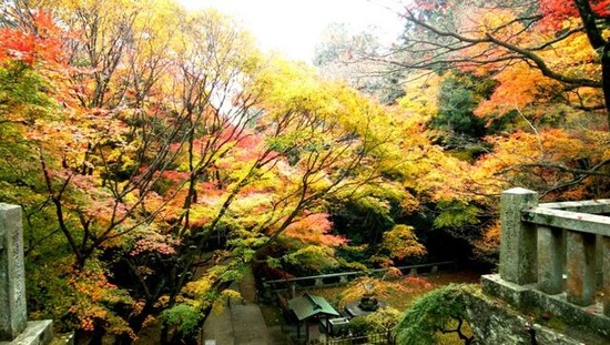 根来寺紅葉