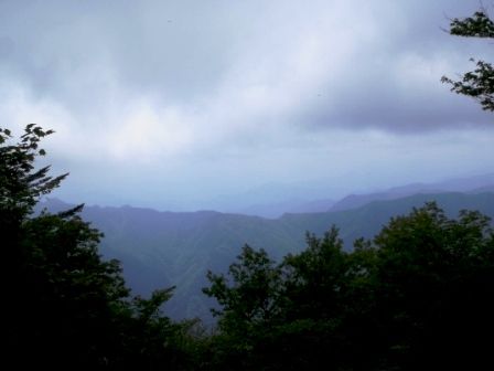 三頭山20150520 014