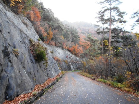 別格20への道（六甲天満原林道１）