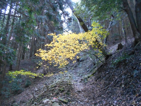 仙龍寺への道１