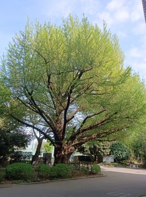 IMG_20260414_150833