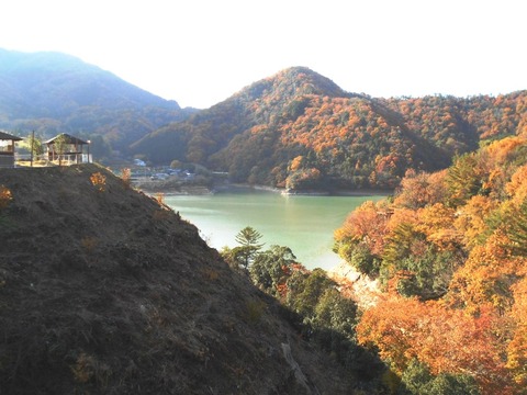別格20番大瀧寺下山道４