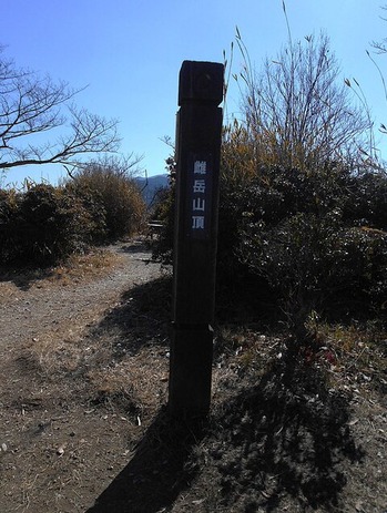 DSCN7947