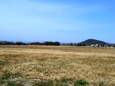 DSCN7138