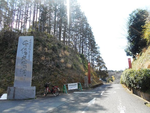 DSCN8196