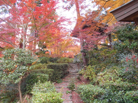 白峰寺霊廟への道