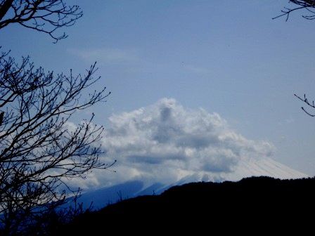 鶴ガ鳥屋山20130404 020