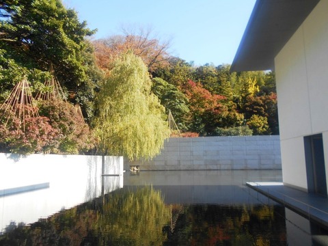 DSCN4087