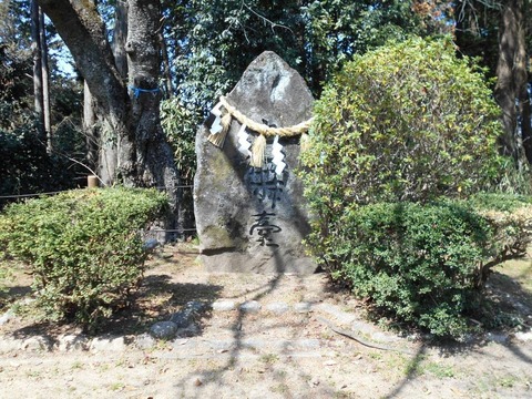 DSCN8217