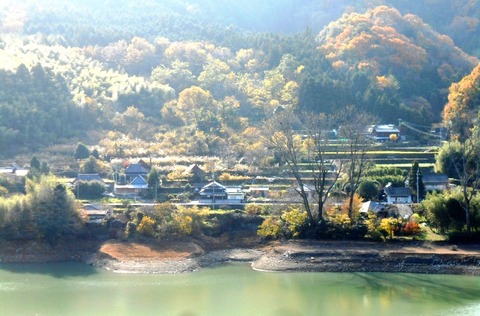 別格20番大瀧寺下山道５