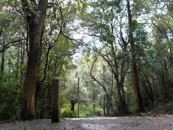 １０番幡切寺石段２