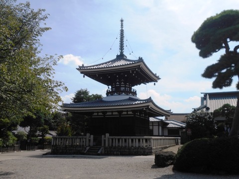 DSCN6811
