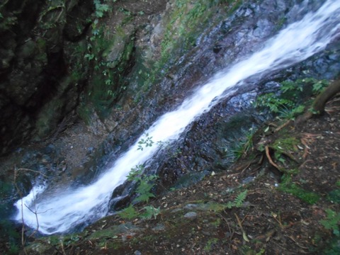 DSCN6924