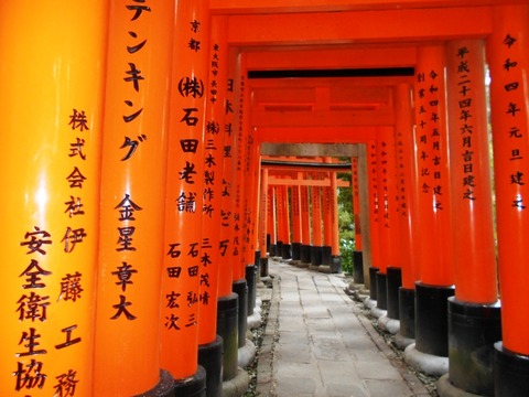 DSCN5813