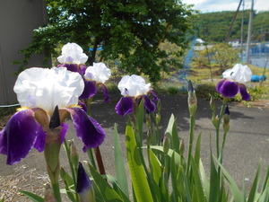 DSCN8302
