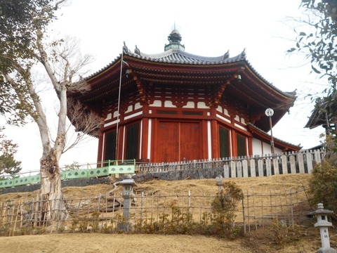 DSCN7120