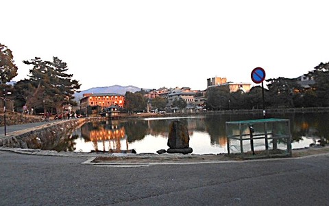 DSCN7850