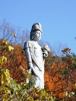 別格20番大瀧寺下山道３